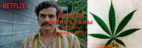 прущие грибы Киренск