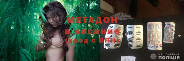 прущие грибы Киренск
