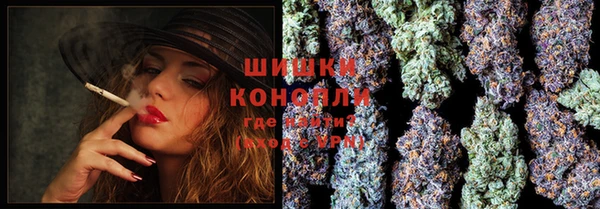 прущие грибы Киренск