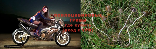 эйфоретик Козельск