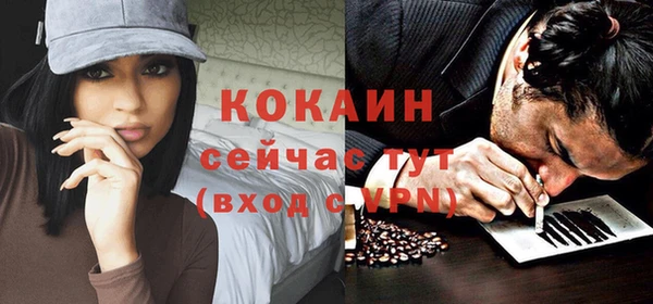 соль ск Козловка