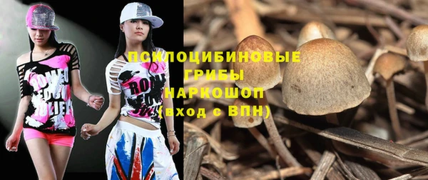 шишки Киреевск