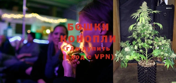 соль ск Козловка