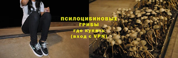 spice Кодинск