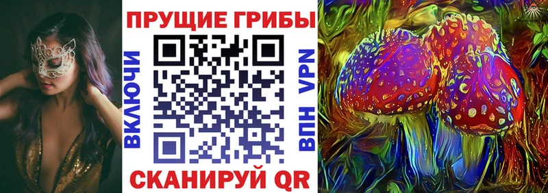 Купить закладки  Саранск  Галлюциногенные грибы GOLDEN TEACHER 